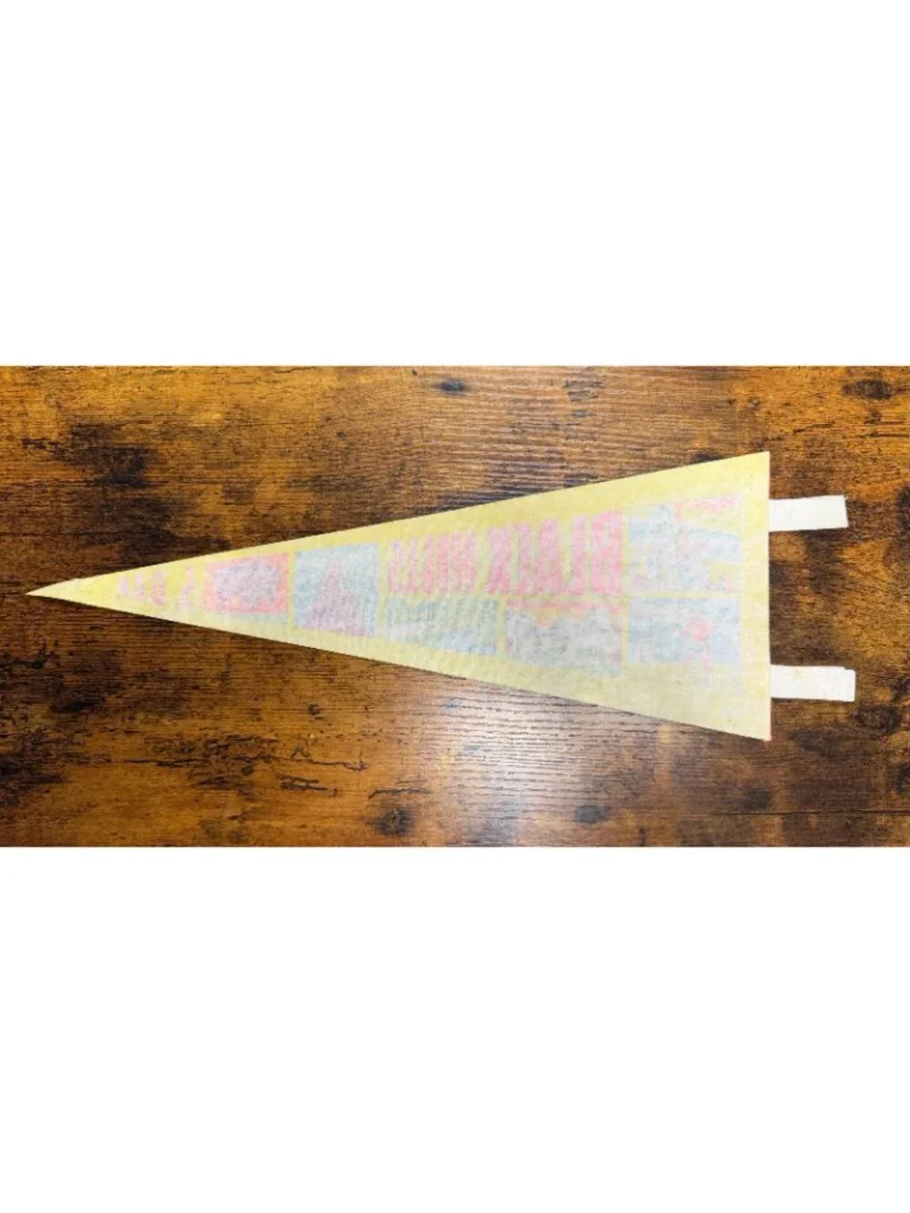 Vintage Black Hills, South Dakota pennant
